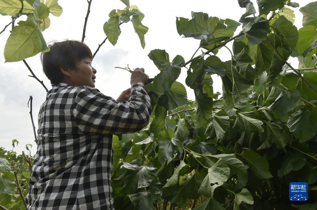 捕鱼游戏网页